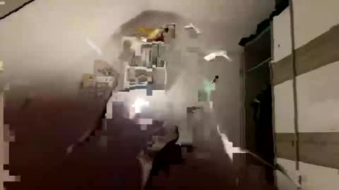 Snapshot of kaipetermann21 chatting on October 2025 11:55:02 AM kaipetermann21 online show from October 2025 11:55:02 AM