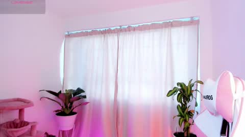 Kali Ka Please help me with your thumbs up its important   dont forget my birthday on October 26 online show from February 2025 12:22:01 PM