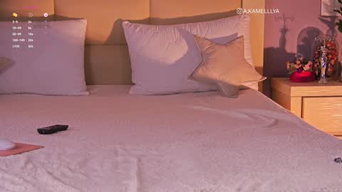 Snapshot of kamelllya chatting on February 2025 08:35:01 AM Kamelllya online show from February 2025 08:35:01 AM