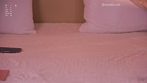 Snapshot of kamelllya chatting on February 2025 12:47:01 PM Kamelllya online show from February 2025 12:47:01 PM