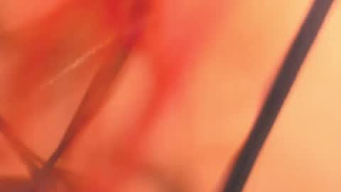 Snapshot of karina_belov_01 chatting on February 2025 08:16:01 AM KarinaBelov online show from February 2025 08:16:01 AM