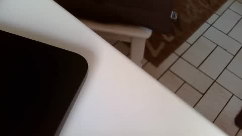 Kev online show from February 2025 11:47:02 AM