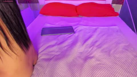 Karol online show from February 2026 11:54:01 AM