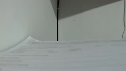 Tamires e Maicon online show from November 2025 03:34:01 AM