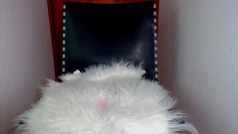 katalinaferreirax online show from December 2024 08:54:02 PM