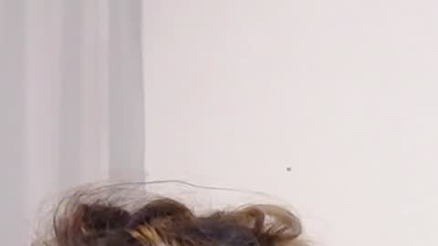 Help me with rate thanks  online show from December 2024 05:09:02 AM