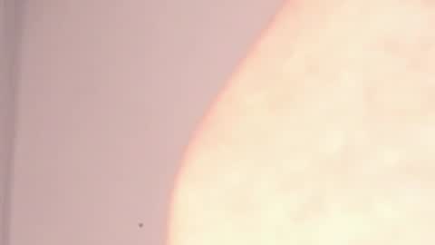 Help me with rate thanks  online show from January 2025 03:03:02 AM