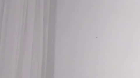 Help me with rate thanks  online show from February 2025 05:15:02 AM