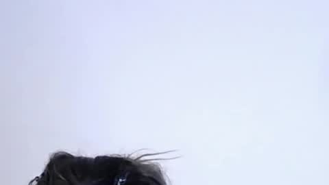 Help me with rate thanks  online show from February 2026 11:20:02 PM