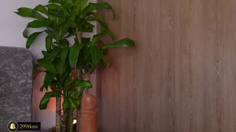 Katie online show from November 2025 11:21:02 AM