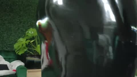 Kate online show from January 2025 05:49:02 PM