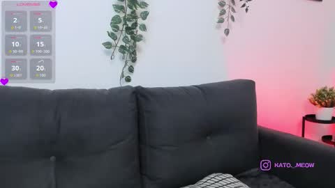 Kato online show from December 2025 12:59:02 AM