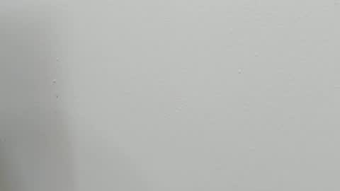 katy blonde girl and paola big boobs online show from October 2025 07:49:01 PM