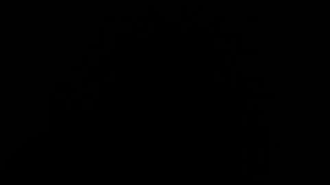 trannyblacklatinhot online show from January 2025 07:44:02 PM