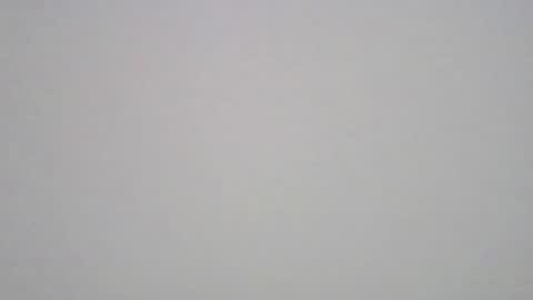 kuma online show from October 2025 05:37:01 AM