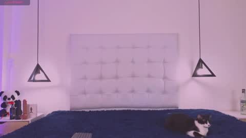 Cattleya stone online show from February 2025 04:04:01 AM