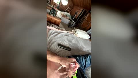 kckc40000 online show from January 2026 07:19:02 PM