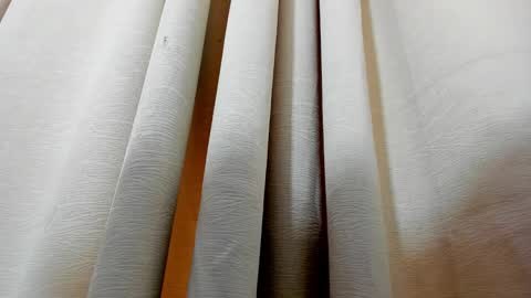 Snapshot of kendalstallyon chatting on December 2024 02:22:02 PM Kendal online show from December 2024 02:22:02 PM