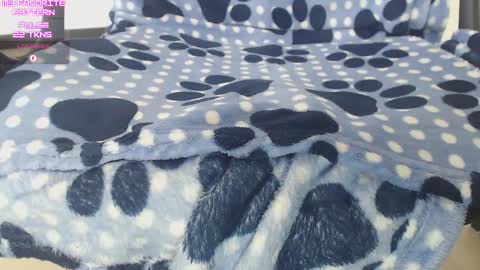 Kevin online show from December 2025 05:18:02 PM