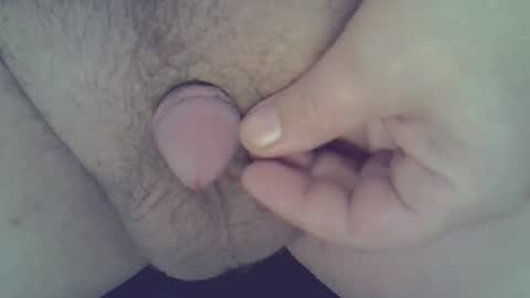 maggot online show from December 2024 03:25:02 AM