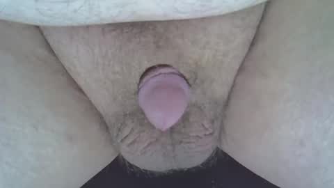 maggot online show from January 2025 07:52:01 AM