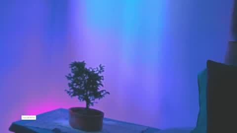 Snapshot of keyla_roberts_ chatting on May 2026 05:18:02 PM Adhara. Help me reach 100 likes online show from May 2026 05:18:02 PM