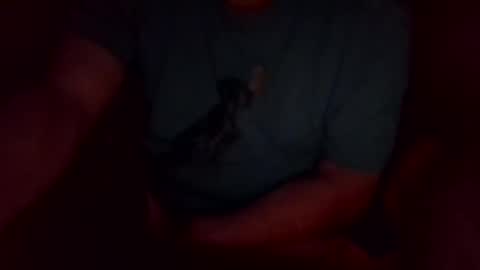 jesse444 cum show online show from September 2025 10:49:01 AM