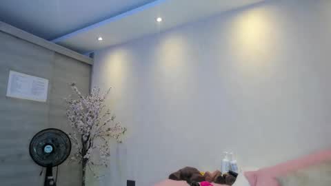    N         M online show from October 2025 11:35:01 AM