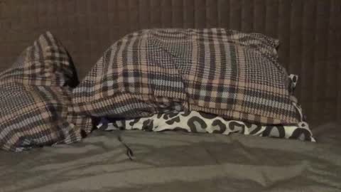 kiki3526 online show from November 2025 07:35:02 PM