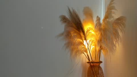 Kim Murphy online show from December 2024 12:36:01 PM