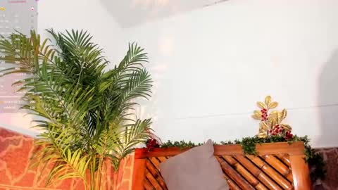 kimberly gonzalez online show from December 2024 06:37:02 AM