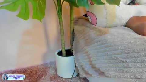 Kim  online show from January 2026 06:33:02 PM