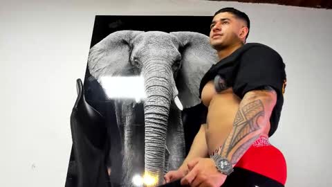 Angel Falconer online show from October 2025 02:34:01 AM