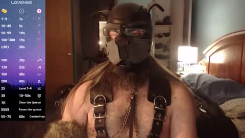 Snapshot of kinkywolf87 chatting on December 2024 07:05:02 AM kinkywolf87 online show from December 2024 07:05:02 AM