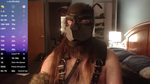 Snapshot of kinkywolf87 chatting on December 2024 08:00:02 AM kinkywolf87 online show from December 2024 08:00:02 AM