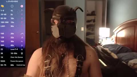 Snapshot of kinkywolf87 chatting on December 2024 12:56:01 AM kinkywolf87 online show from December 2024 12:56:01 AM