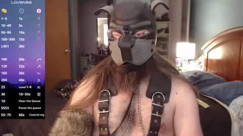 Snapshot of kinkywolf87 chatting on December 2024 06:23:02 PM kinkywolf87 online show from December 2024 06:23:02 PM