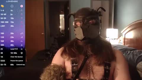 Snapshot of kinkywolf87 chatting on February 2025 08:24:01 AM kinkywolf87 online show from February 2025 08:24:01 AM