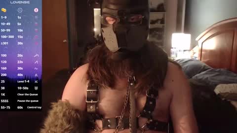 Snapshot of kinkywolf87 chatting on February 2025 06:18:02 AM kinkywolf87 online show from February 2025 06:18:02 AM