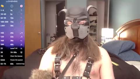 Snapshot of kinkywolf87 chatting on February 2025 06:24:01 PM kinkywolf87 online show from February 2025 06:24:01 PM