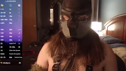 Snapshot of kinkywolf87 chatting on March 2025 08:41:02 AM kinkywolf87 online show from March 2025 08:41:02 AM