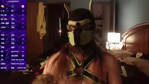 Snapshot of kinkywolf87 chatting on December 2025 05:02:02 AM kinkywolf87 online show from December 2025 05:02:02 AM