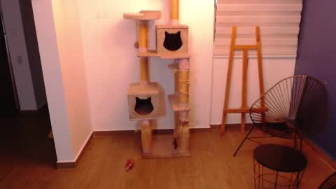 kintsugi online show from November 2025 04:01:01 AM