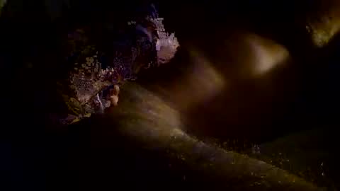 Snapshot of kitkat_loco1 chatting on November 2025 09:54:02 AM Kitkat loco online show from November 2025 09:54:02 AM