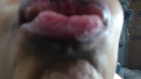 Snapshot of kitty_pervertedx chatting on January 2025 03:48:01 AM kitty online show from January 2025 03:48:01 AM