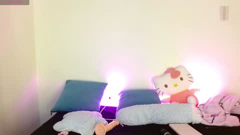 Snapshot of kittycatw chatting on January 2025 11:31:01 AM LAURA  help me reach 100likes online show from January 2025 11:31:01 AM