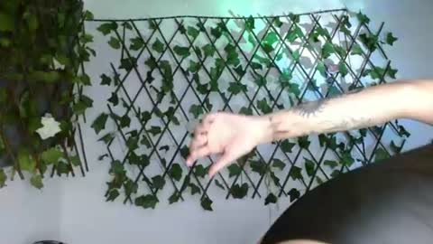 kittyxshady online show from August 2026 04:04:02 AM