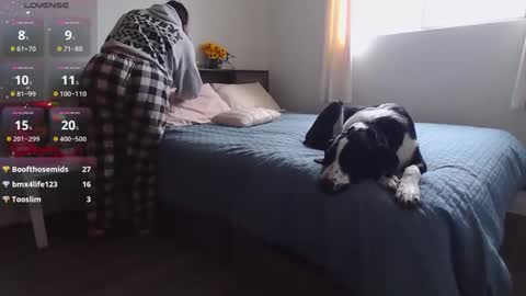 Kittyymaze online show from December 2024 02:05:01 PM