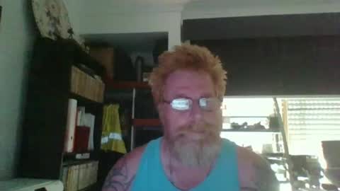 Snapshot of kiwi_boss61 chatting on February 2025 04:19:02 AM kiwi_boss61 online show from February 2025 04:19:02 AM