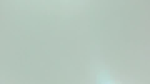 Kiwi online show from February 2026 11:58:02 AM